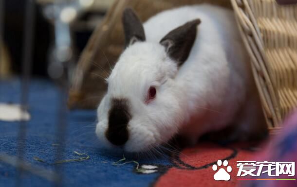 QQ截图20160708152345