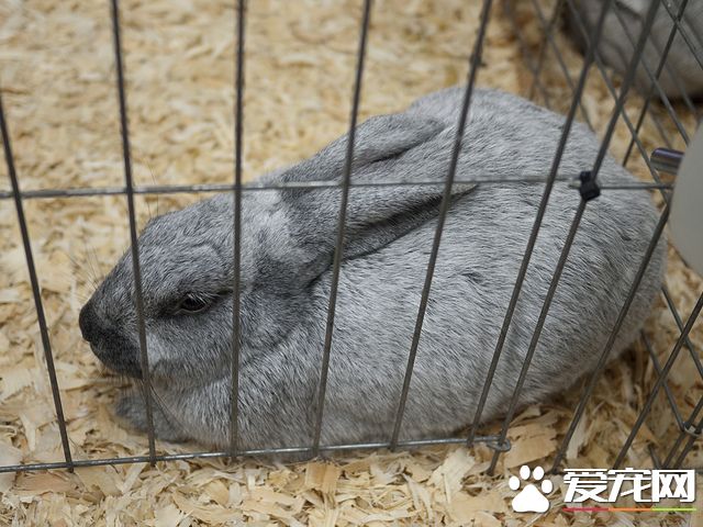 5009875164_dfcc435c1c_z