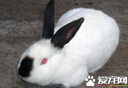 QQ截图20160708151526