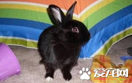 QQ截图20160708161507