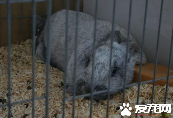 QQ截图20160708171757