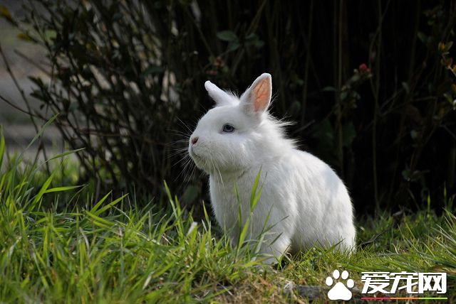 5589362109_b19ab086a7_z