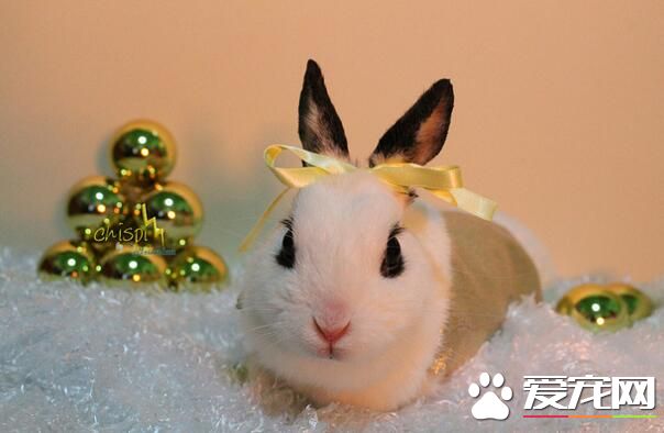 QQ截图20160708151354