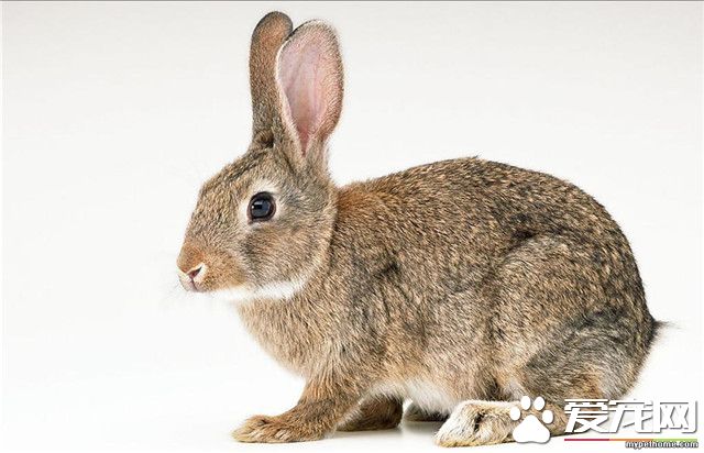 20110224_b7848f6419a682d44de4KTjomR6o7A5e