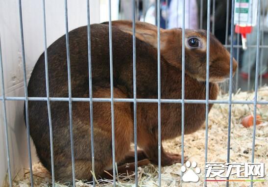 QQ截图20160708153127