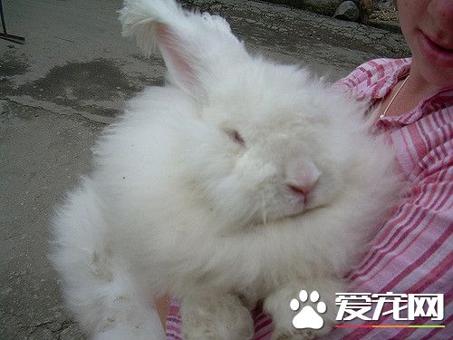 298604486_a272262856_z