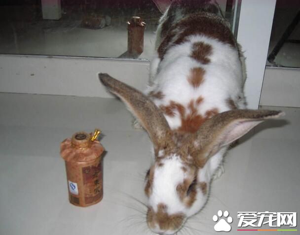 QQ截图20160708165402