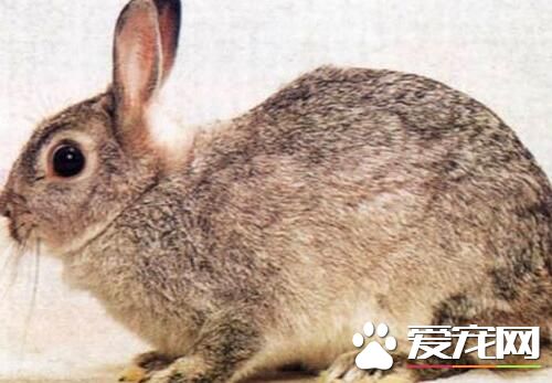 QQ截图20160708162832