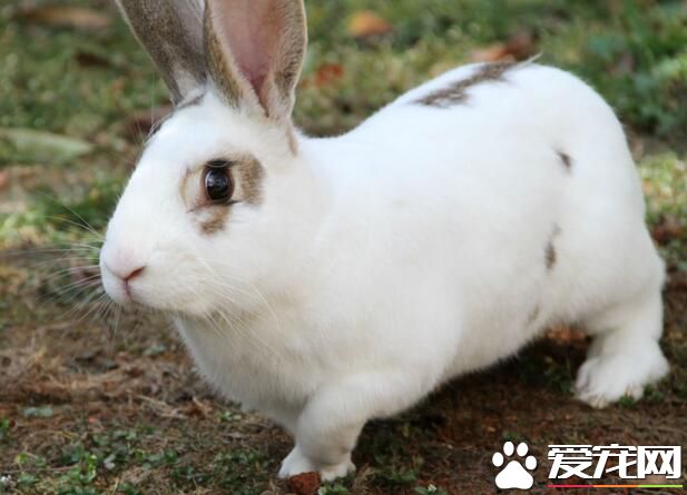 QQ截图20160708165432