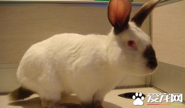 QQ截图20160708151744