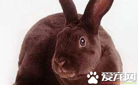 QQ截图20160708161615