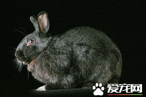 2233667323_3bd20b1dea_z