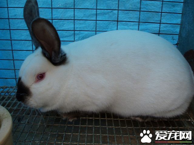 3558132064_4392d4bd69_z