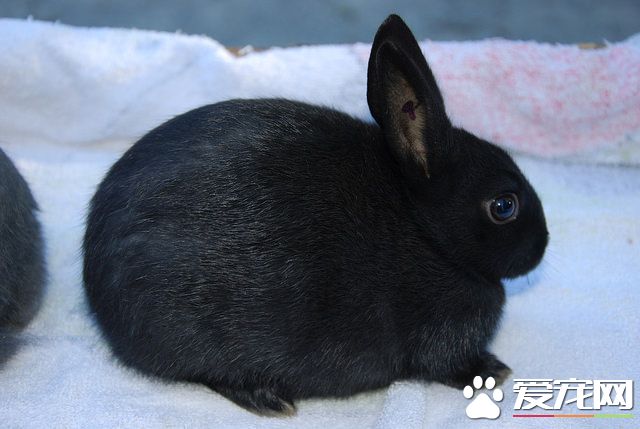 15144093468_8fac96954c_z