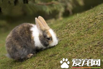 QQ截图20160708162757