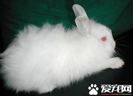 QQ截图20160708140615