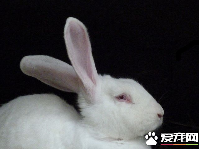 7164031963_05b90d29c1_z