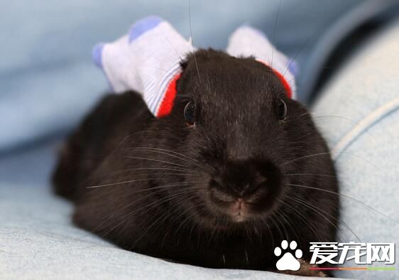 QQ截图20160708140154