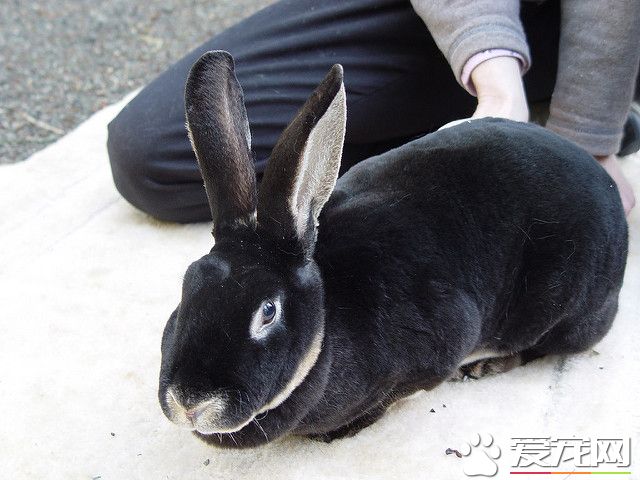 3407343055_7195405596_z