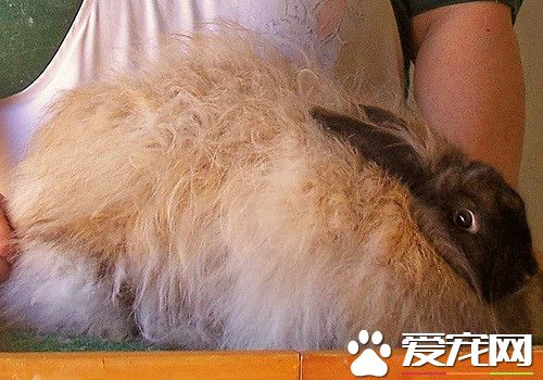 3525521474_be10d5427d_z