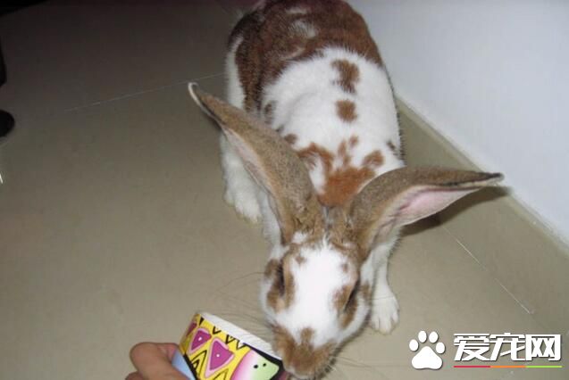 QQ截图20160708165412