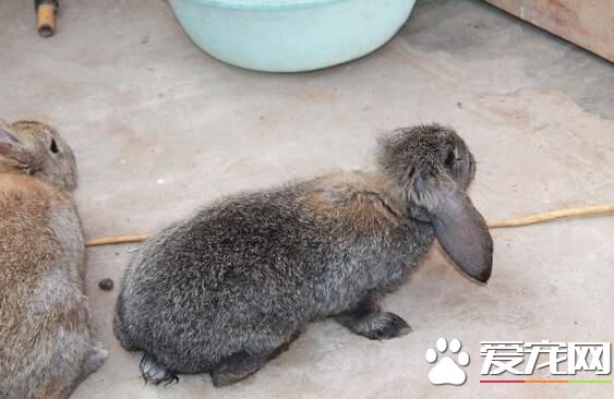 QQ截图20160708170829