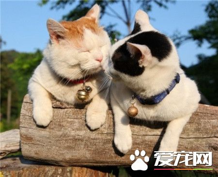 我们是纯洁的。不是么？（￣□￣｜｜纯洁的好基友）