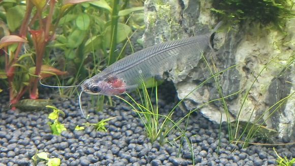 90eb0846f21fbe09f899378b6e600c338644ad0f