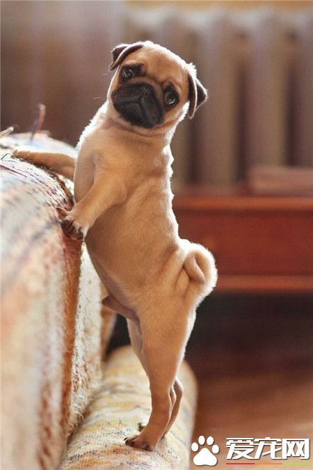 请看我，好吗？