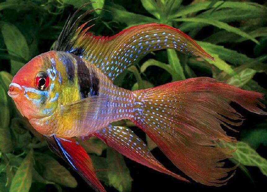 QQ截图20160801150950