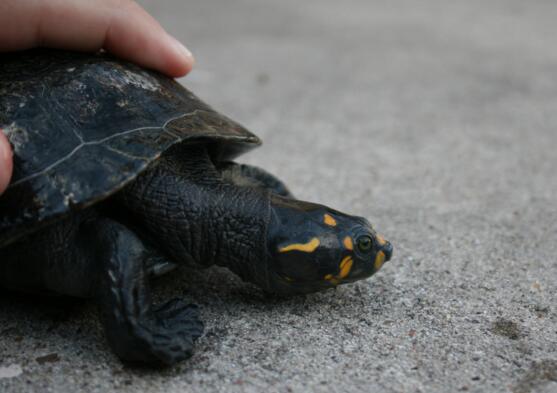 QQ截图20160810174315