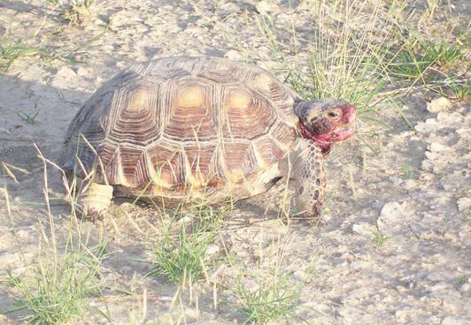 QQ截图20160810162443