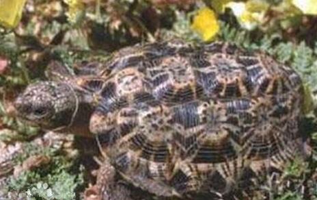 QQ截图20160810174032