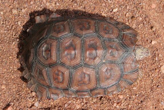 QQ截图20160810172735