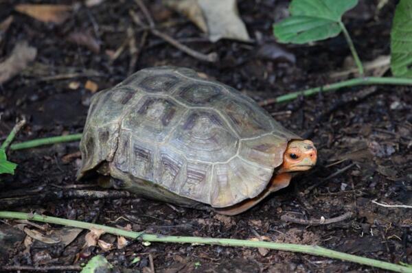 QQ截图20160810162139