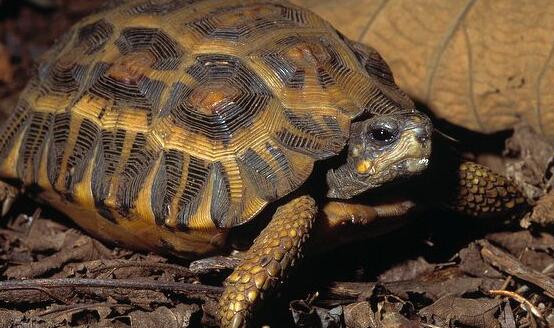 QQ截图20160810165034