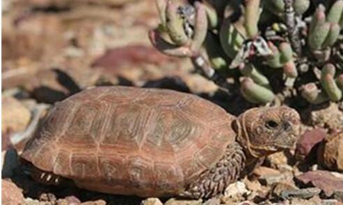 QQ截图20160810163352