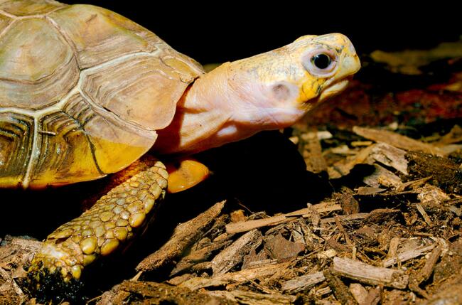 QQ截图20160810162210