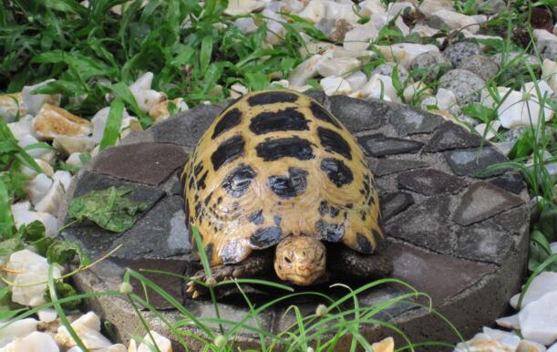 QQ截图20160810163800