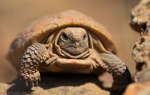 QQ截图20160810163252