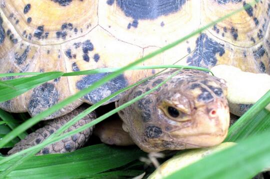 QQ截图20160810163750