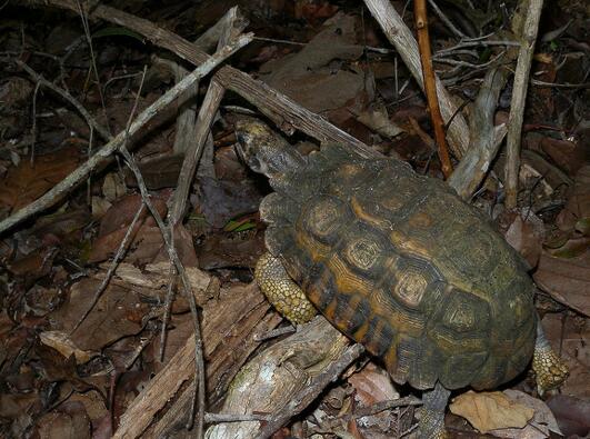 QQ截图20160810164921