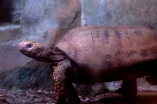 QQ截图20160810170616