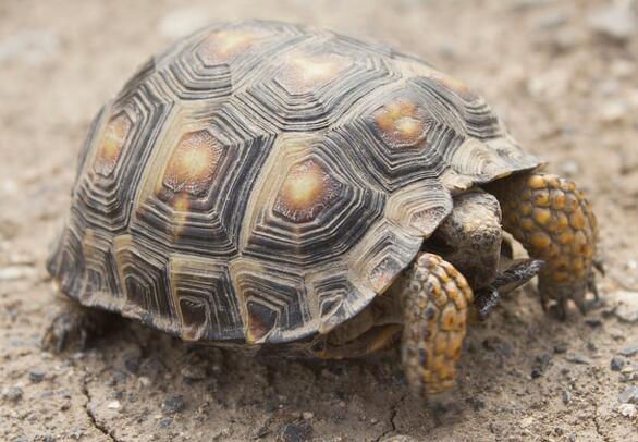 QQ截图20160810162725