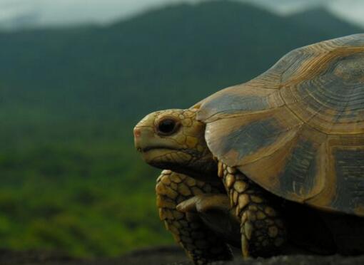 QQ截图20160810170724