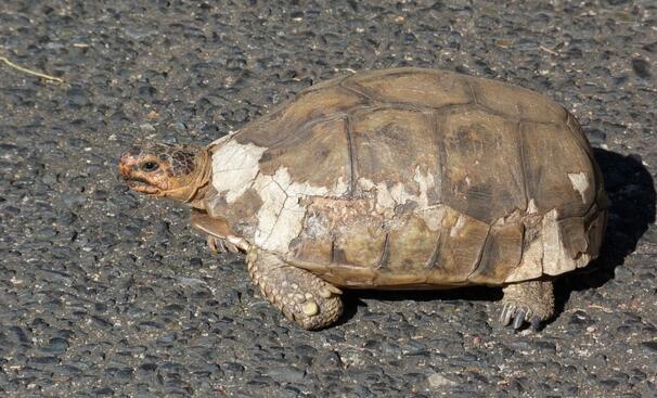 QQ截图20160810164149