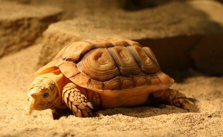 QQ截图20160810163000