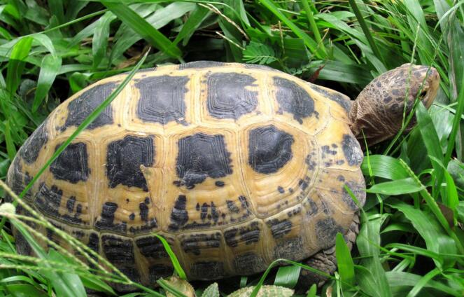 QQ截图20160810163756