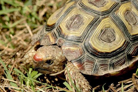 QQ截图20160810163012