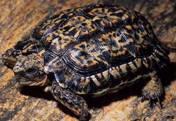 QQ截图20160810174038